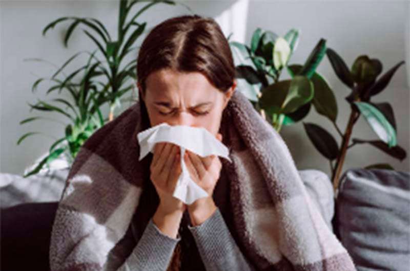 Gripe: tipos, síntomas y prevención del contagio