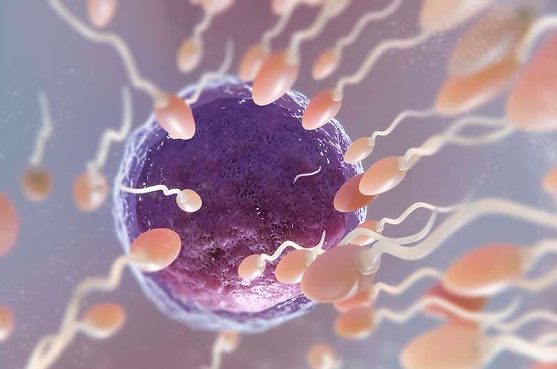 La inteligencia artificial llega a los tratamientos de reproducción asistida