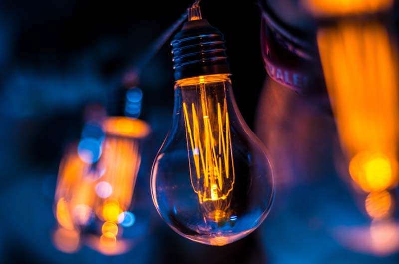 Más allá de lo obvio: 4 ideas de negocios inesperados