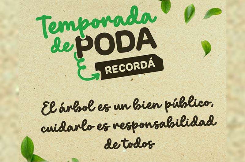 Comienza la temporada de poda