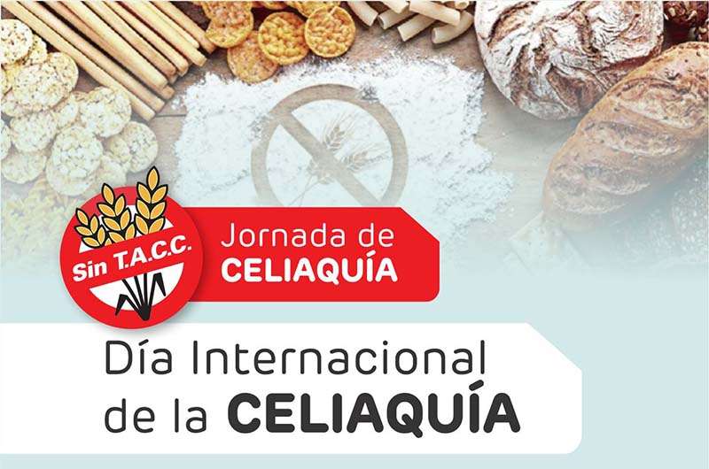Habrá una jornada de concientización en el skate park