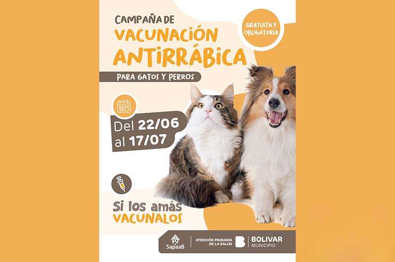 Campaña de vacunación antirrábica gratuita para perros y gatos
