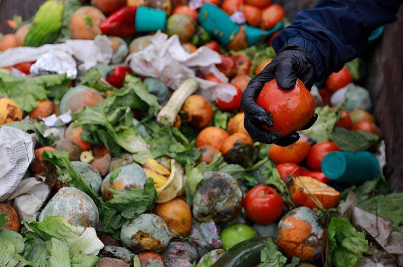 Pérdida y desperdicio de alimentos