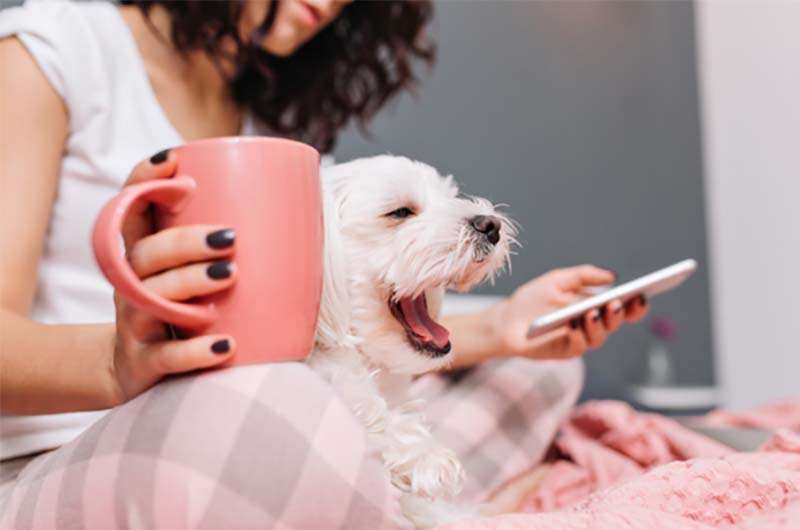 El vínculo con las mascotas como parte del bienestar cotidiano